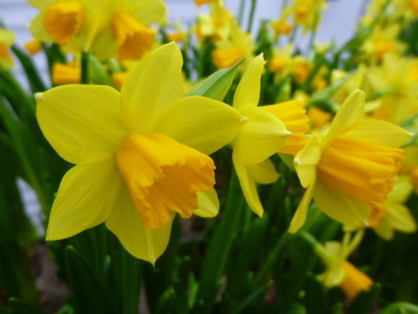       
          Prodlužujeme otevírací dobu
      